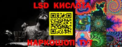 спайс Берёзовский