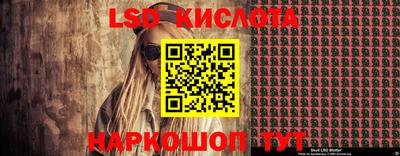 спайс Берёзовский