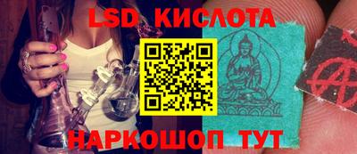 спайс Берёзовский