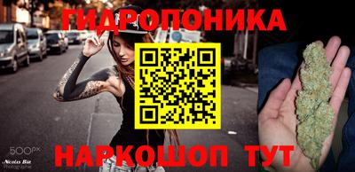спайс Берёзовский