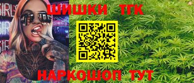 индика Бийск