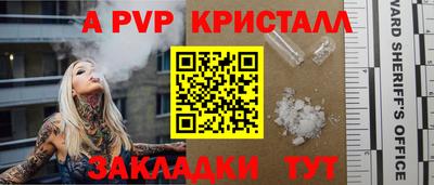 спайс Берёзовский