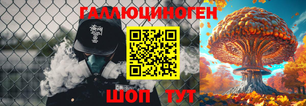 Галлюциногенные грибы Psilocybe Киселёвск