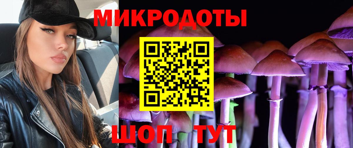 Псилоцибиновые грибы MAGIC MUSHROOMS  Вход с VPN  Киселёвск  Галлюциногенные грибы Psilocybe 